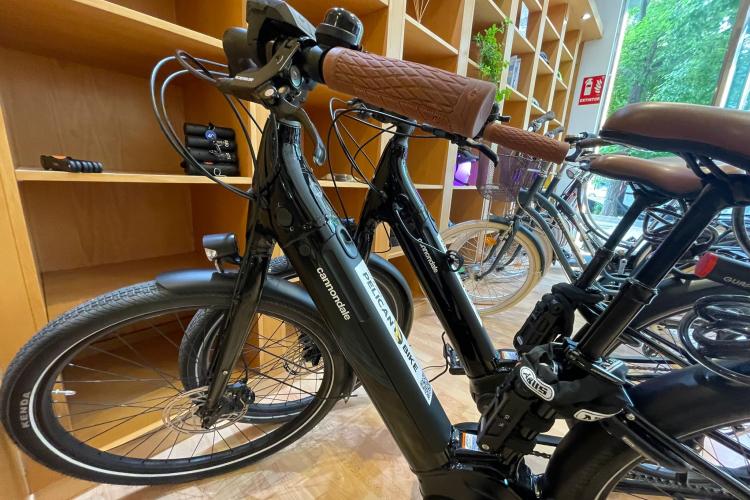 Pelican Bike Rentals Av Francia Fahrradverleih in València